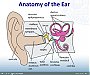 Audiology for medical students