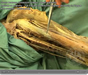 Gross Anatomy Dissection Videos